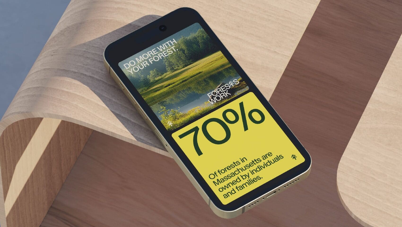 Smartphone displaying a webpage with nature imagery. Text reads: "DO MORE WITH YOUR FOREST," "FORESTS FOCUS WORK," and "70% of forests in Massachusetts are owned by individuals and families.
