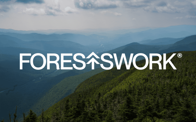 Logo reading "FORESTWORK" over a panoramic view of green wooded mountains under a cloudy sky.
